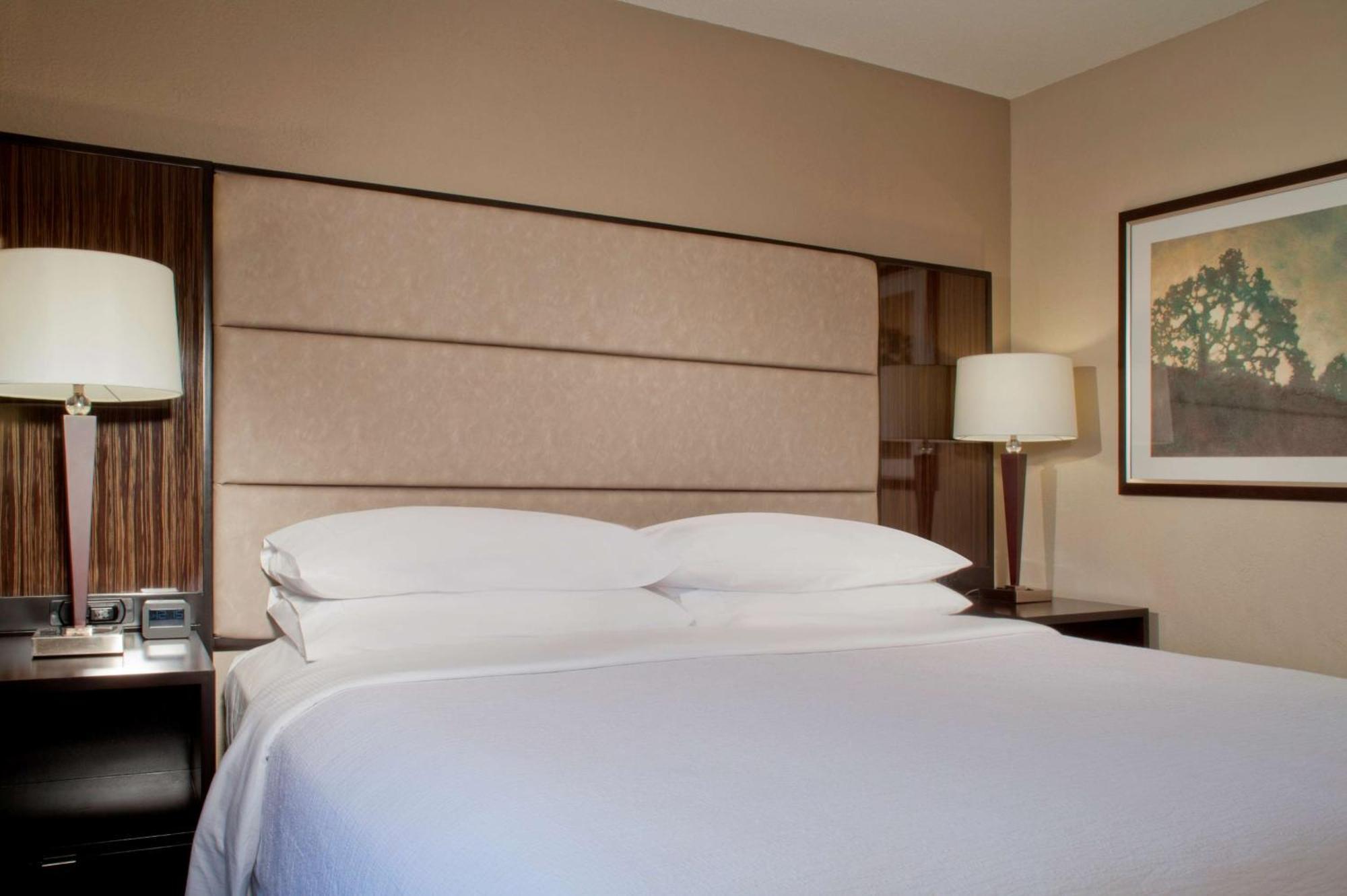 Embassy Suites By Hilton Houston Near The Galleria Extérieur photo